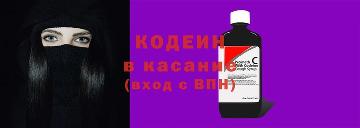 дмт Елизово