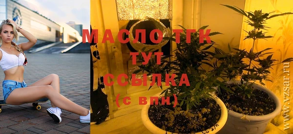 дмт Елизово