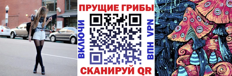 Галлюциногенные грибы Magic Shrooms  Купить  Железногорск-Илимский 