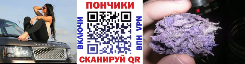 Купить где  Железногорск-Илимский  Конопля марихуана 
